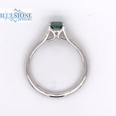 14K White Gold Ring w/ Montana Sapphire